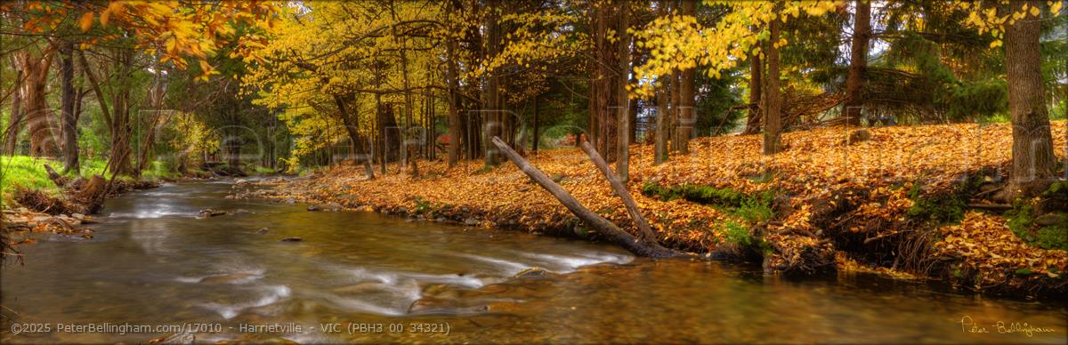 Peter Bellingham Photography Harrietville - VIC (PBH3 00 34321)